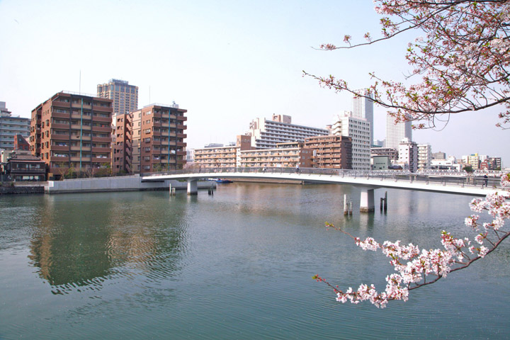 桜小橋