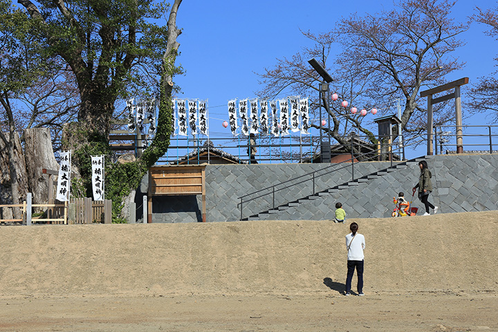 伊勢 宮川堤