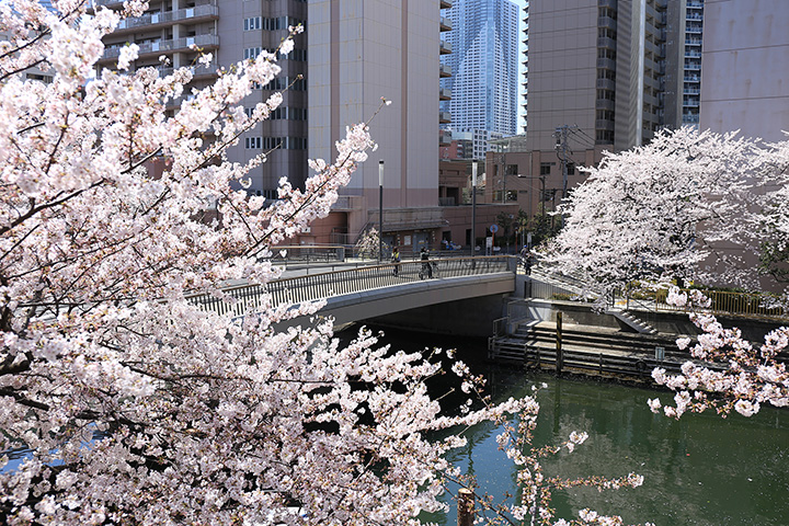 西仲橋